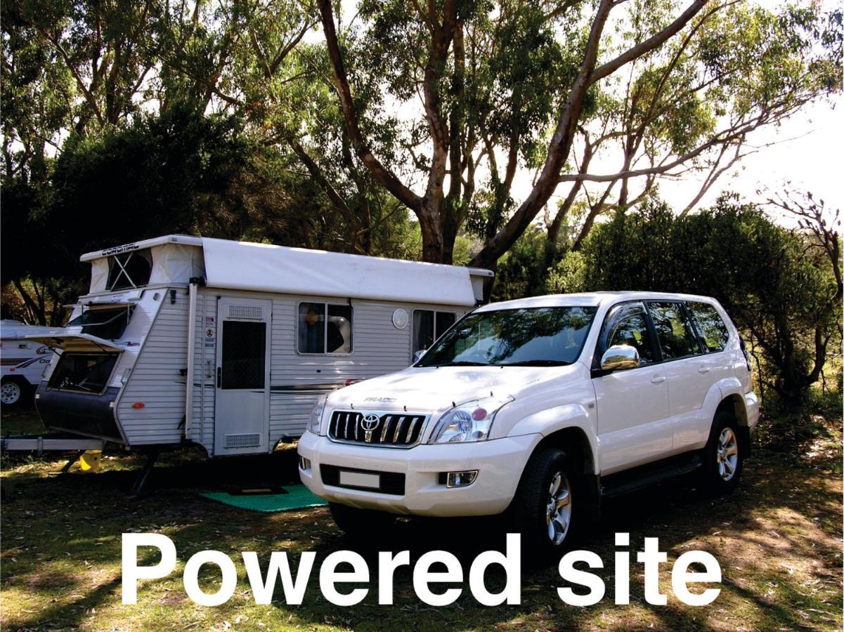 Bimbi Park - Camping Under Koalas Cape Otway Exterior photo