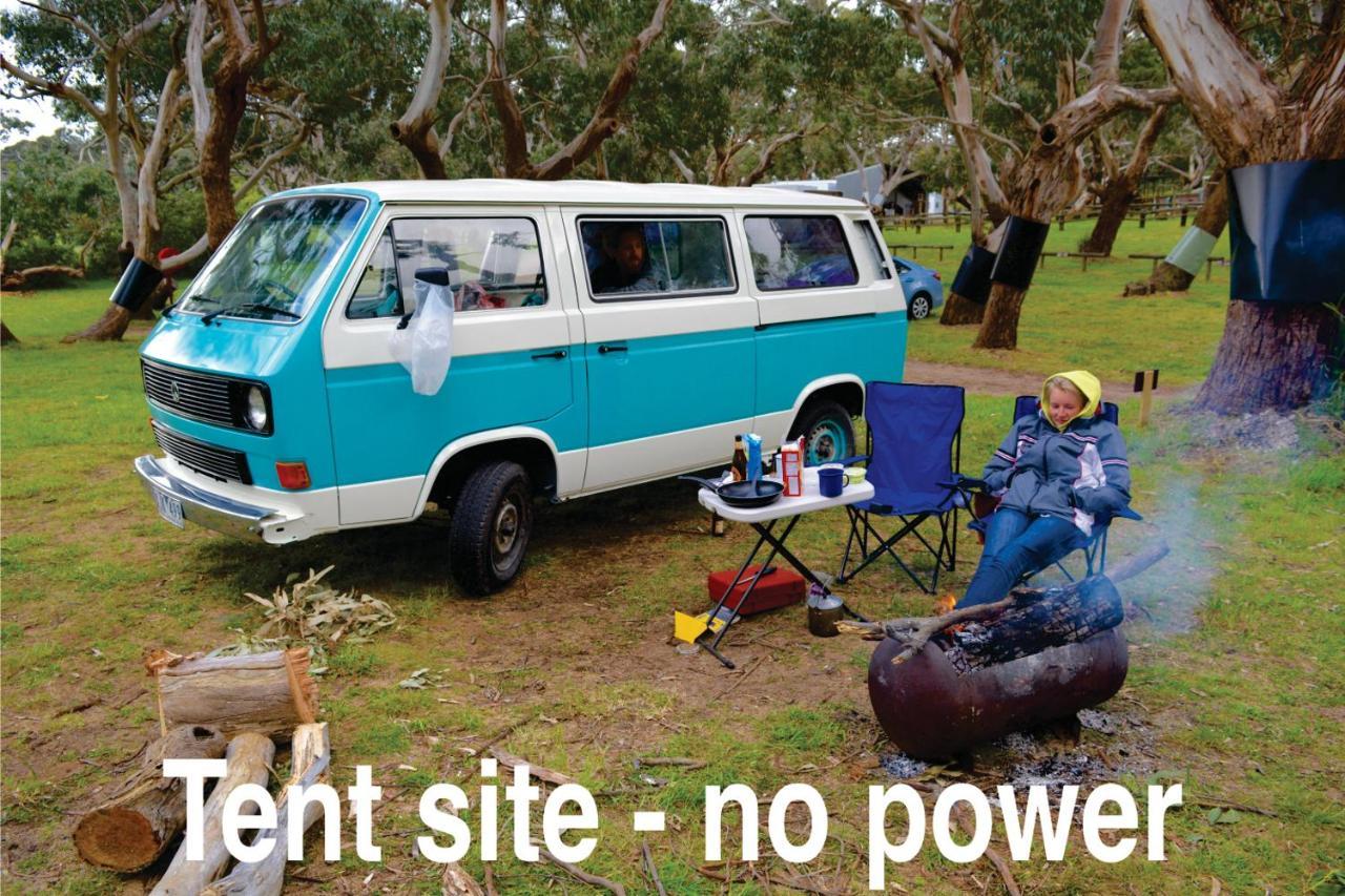 Bimbi Park - Camping Under Koalas Cape Otway Exterior photo