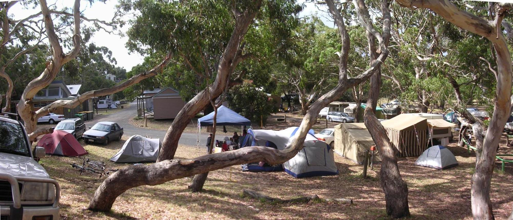 Bimbi Park - Camping Under Koalas Cape Otway Exterior photo
