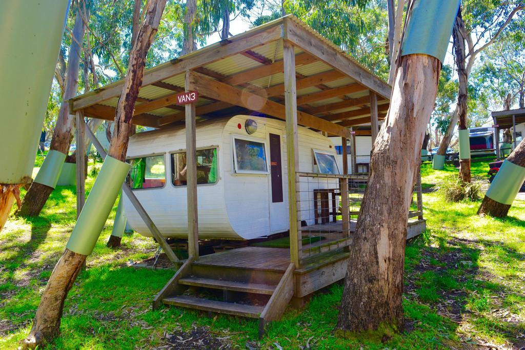 Bimbi Park - Camping Under Koalas Cape Otway Exterior photo
